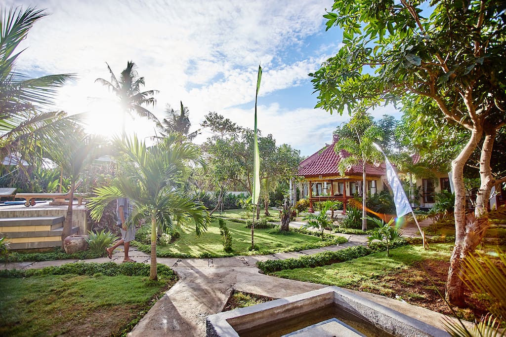 garden