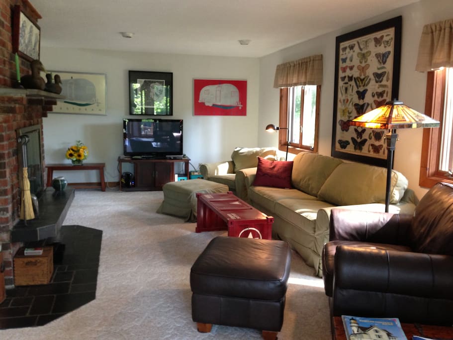The cosy living room with TV, DVD, Wii console and fireplace