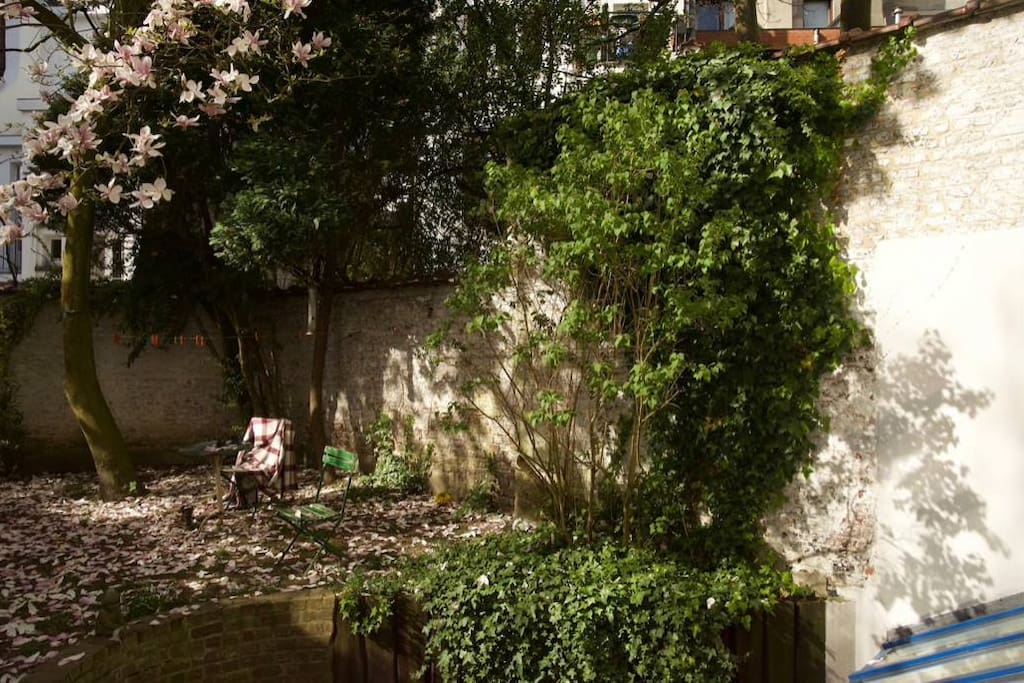 Jardin 35m2