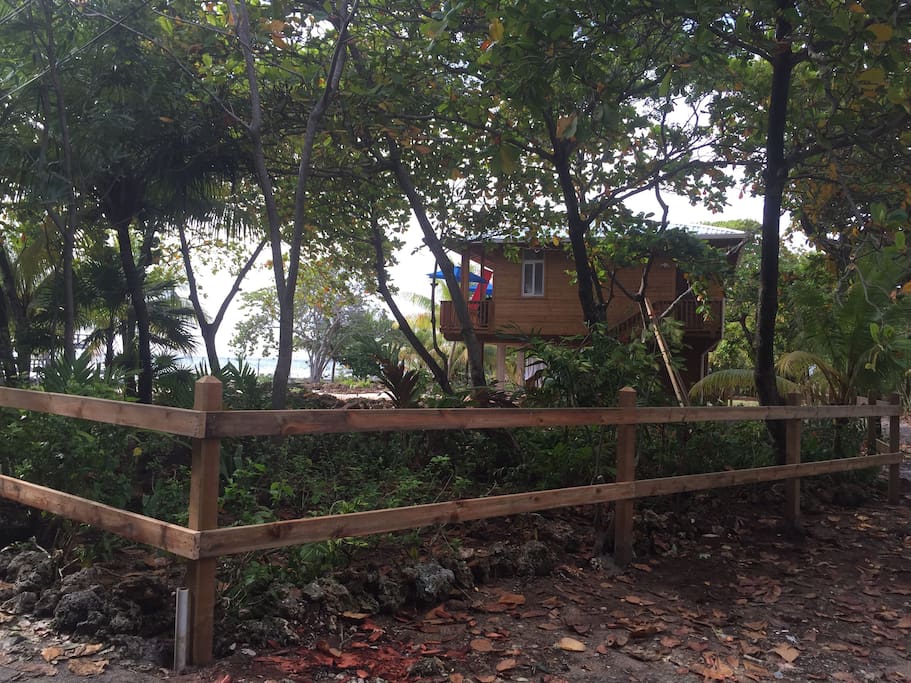 A huge private lot is yours to use. Set in lush greenery of almond trees and palms.