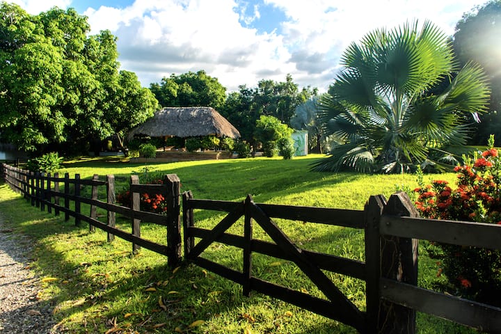 Farm Sanctuary With Pool, Cows And Natural Reserve - Antioquia