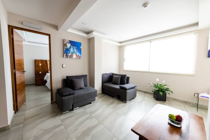 Large Furnished Apartment Zona Rosa CDMX 5