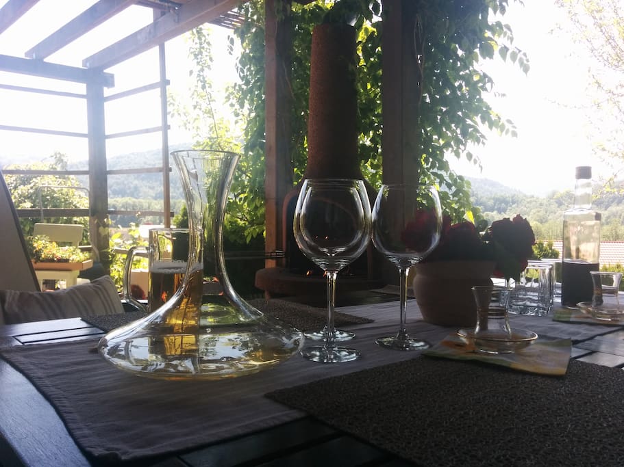 Barbeque Area - where you can enjoy in homemade wine and food