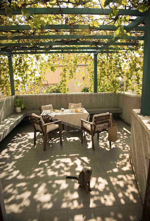 ☼ Bright studio oasis | Lush grapevine patio ☼
