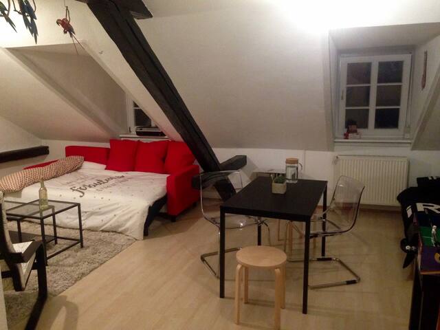 Central and Spacious Apartment (+ free chocolate)
