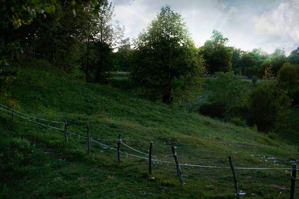 Surrounded by nature