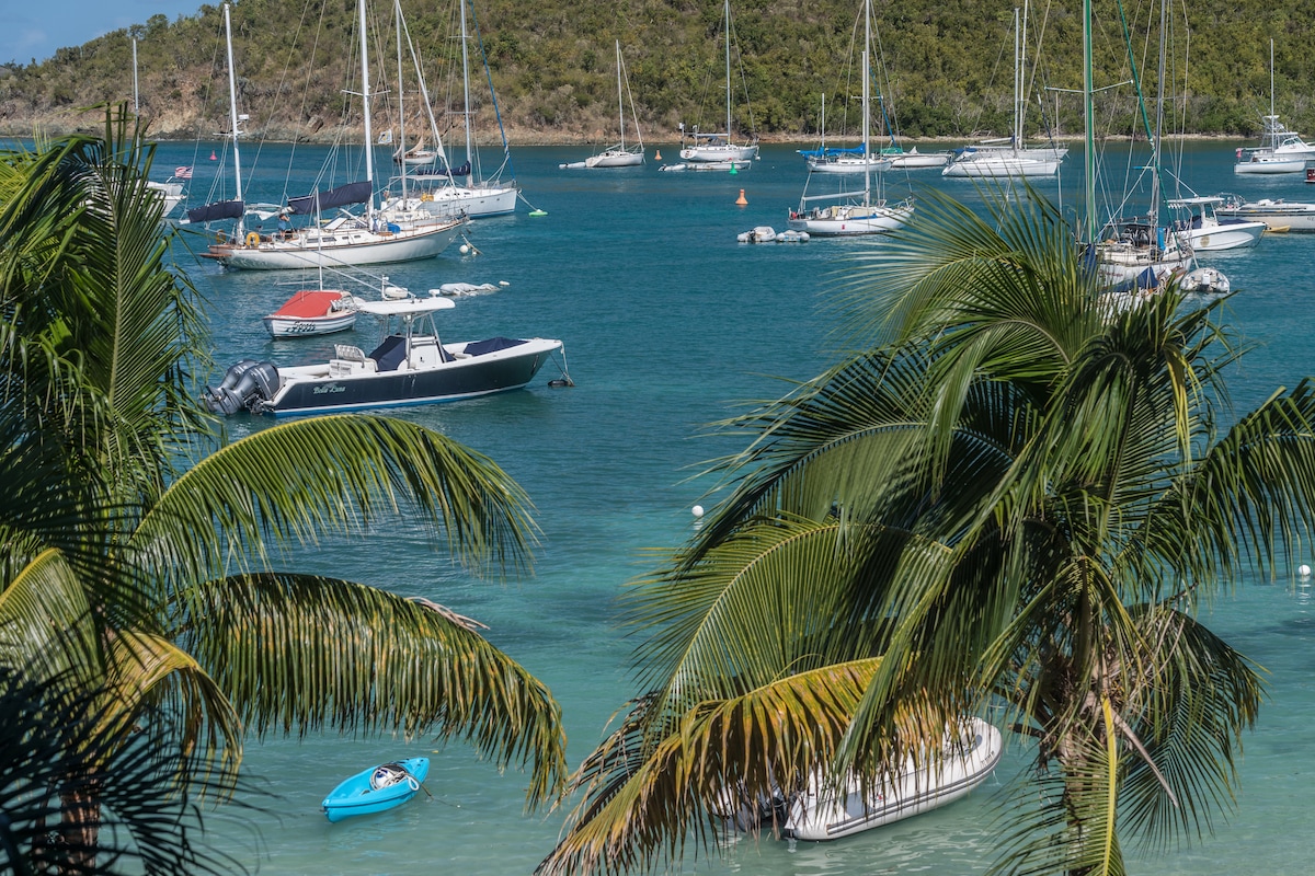 A view of the marina features several boats anchored in clear turquoise waters, framed by palm trees. The calm environment is enhanced by the surrounding green hills, providing a serene backdrop to this waterfront scene.
