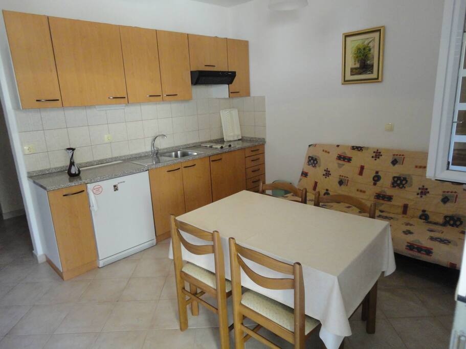 Kitchen / living room with sofa bed