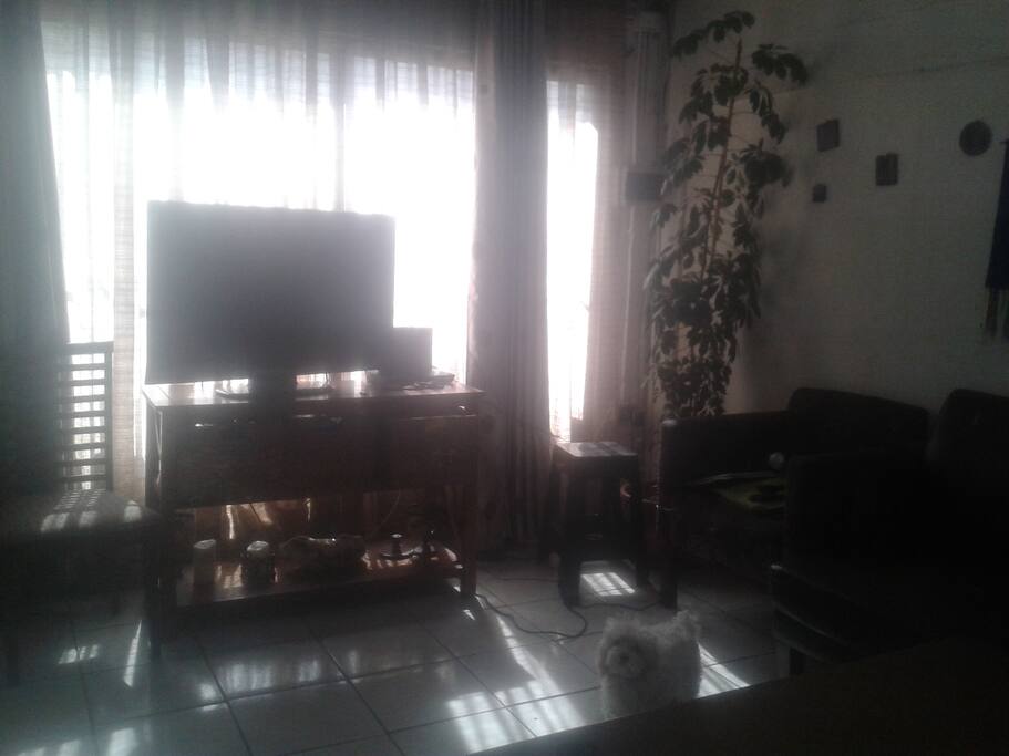 Nuestro living.