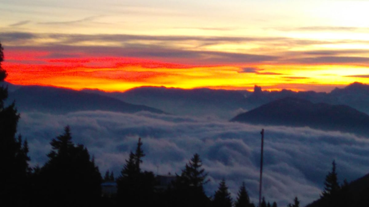 A stunning view of the sunset over the mountains is captured, with vibrant orange and pink hues blending into a moody sky. Below, a sea of clouds blankets the landscape, while silhouettes of evergreen trees frame the scene, creating a sense of tranquility.