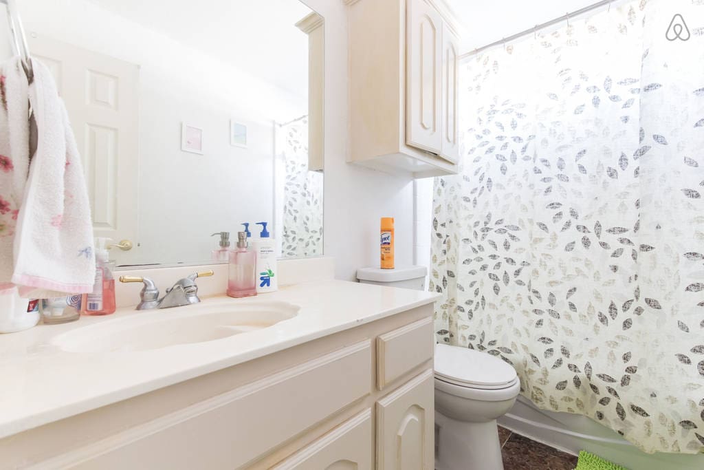 Guest Bathroom