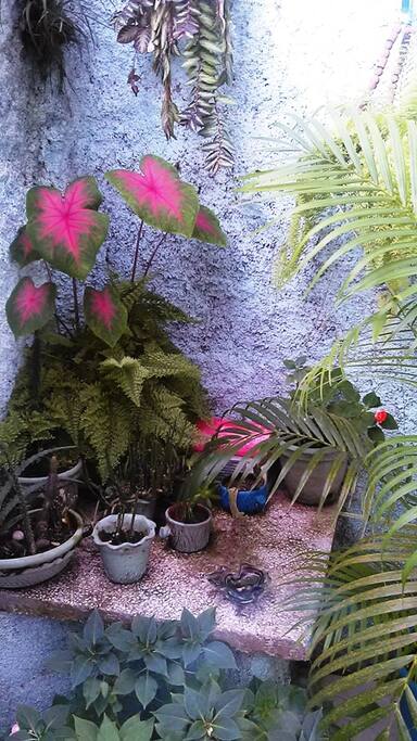Jardin EDEN