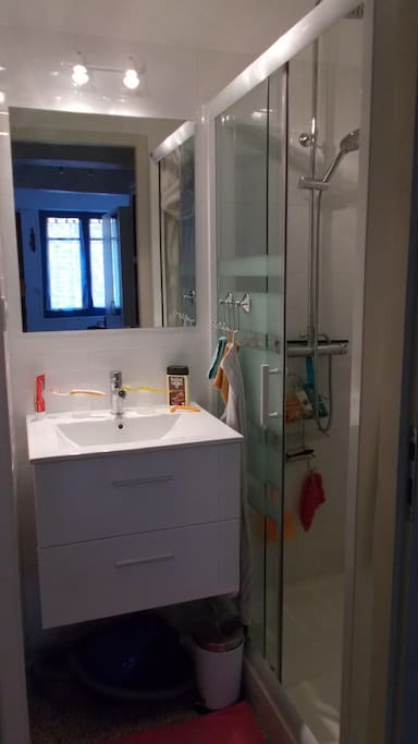 Salle d'eau - RDC