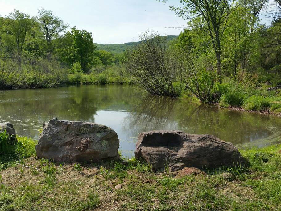Private Pond
