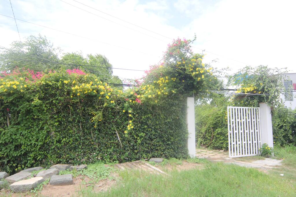 main gate