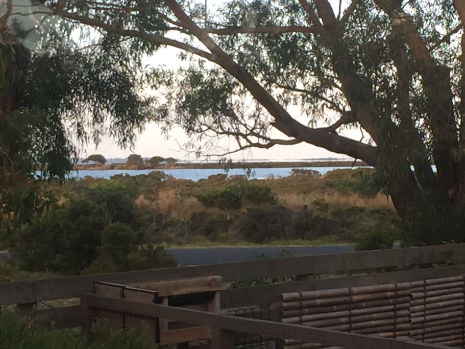 View from livingroom