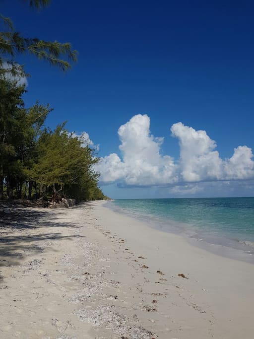 The beach outside your door