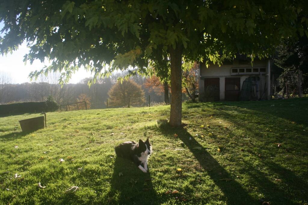 Jardin