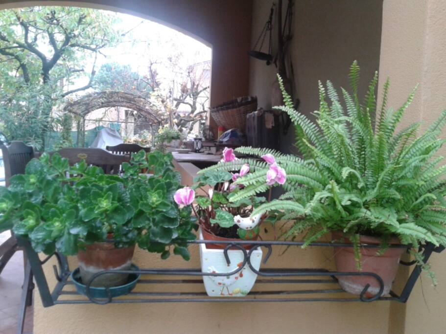 il giardino