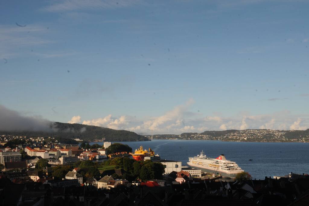 view from the neighborhood