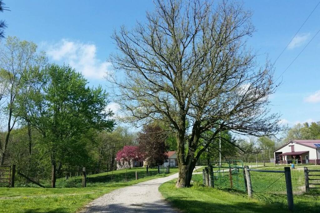 Welcome to Blackberry Acres!
