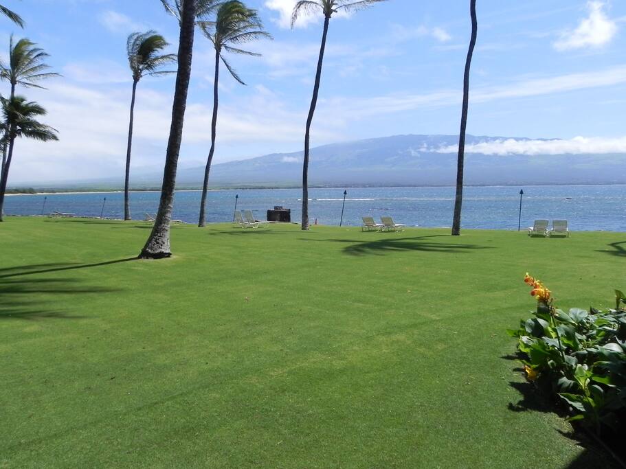 View from Lanai