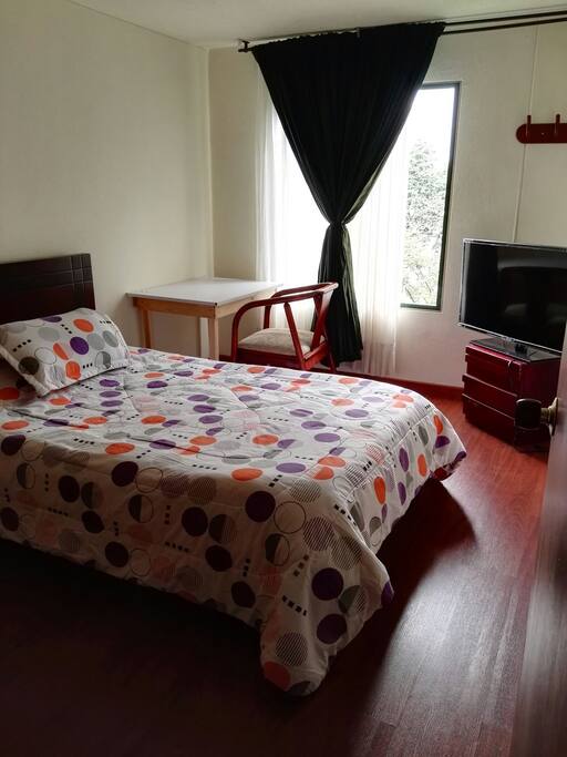 Habitacion con cama, tv, closet.