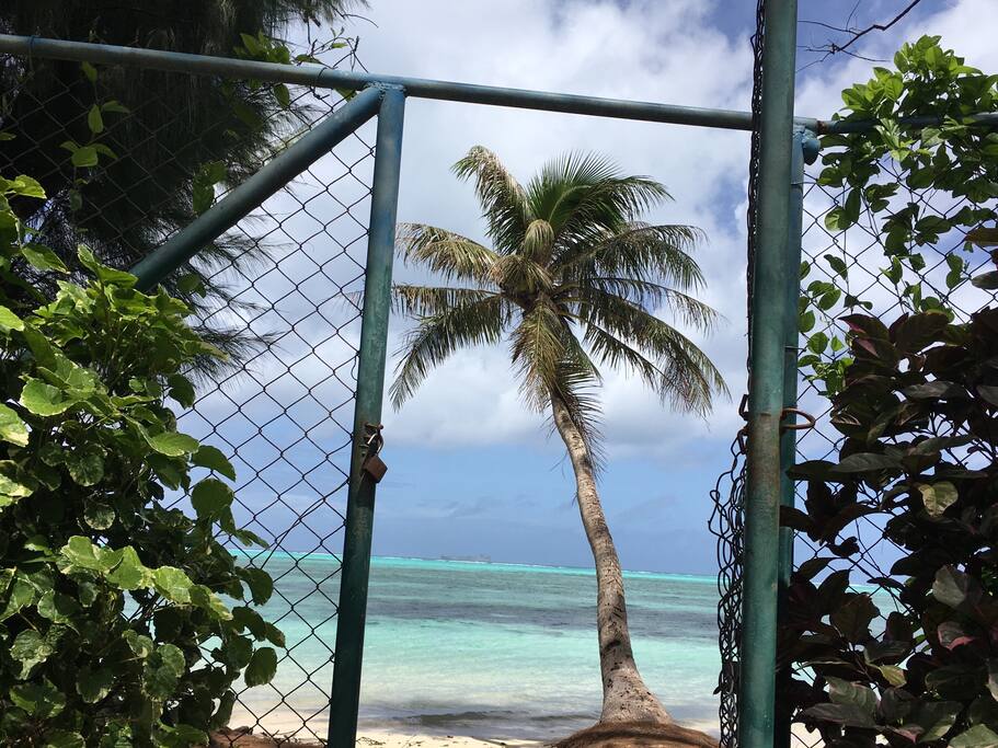 Front gate/小门通大海!