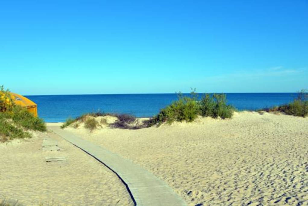 beach