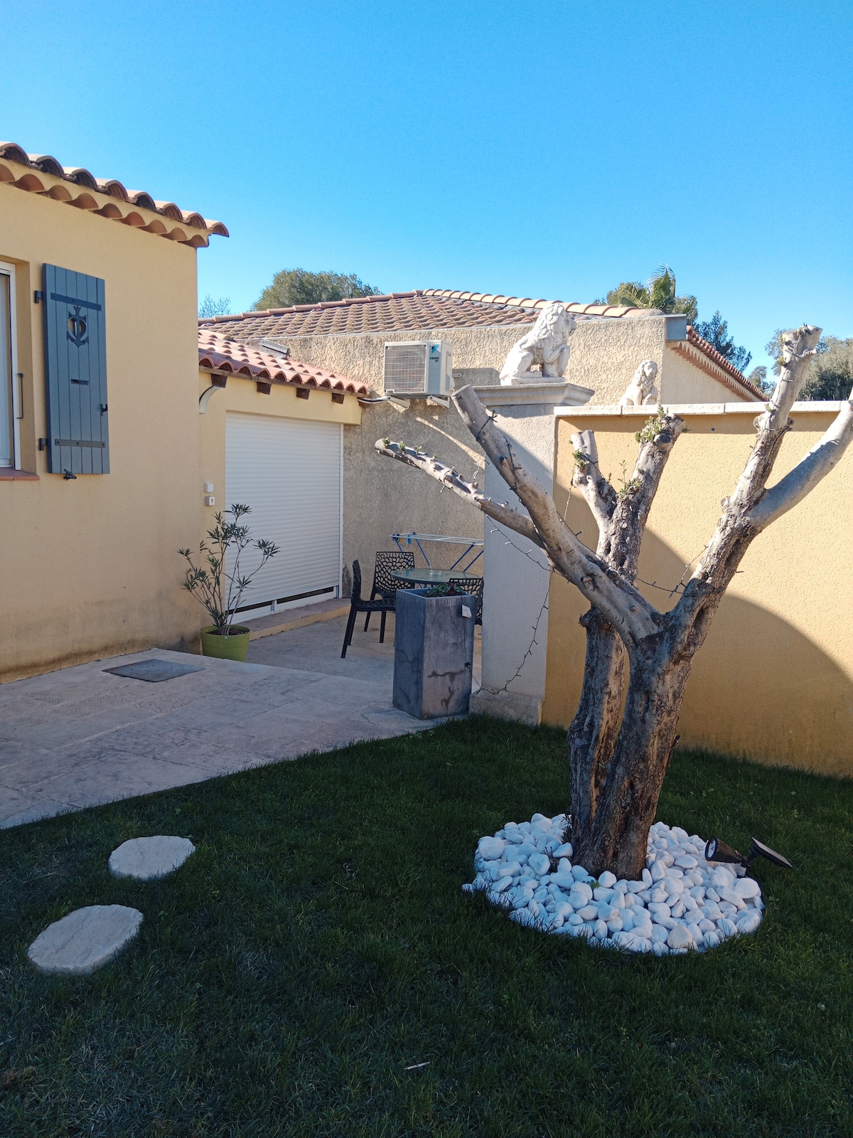 A landscaped outdoor space is visible, featuring a distinct, leafless tree placed among white stones. A small table and chair set is positioned nearby, with sunlight bathing the area. The wall of the studio is shown, adorned with light blue shutters, providing a cozy outdoor ambiance.