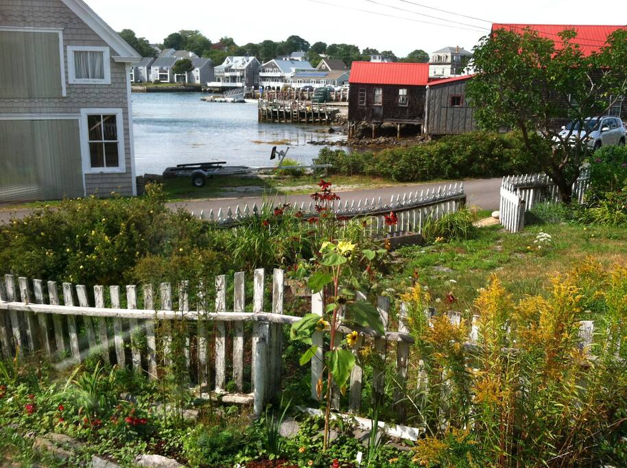 Harbor view from your window!