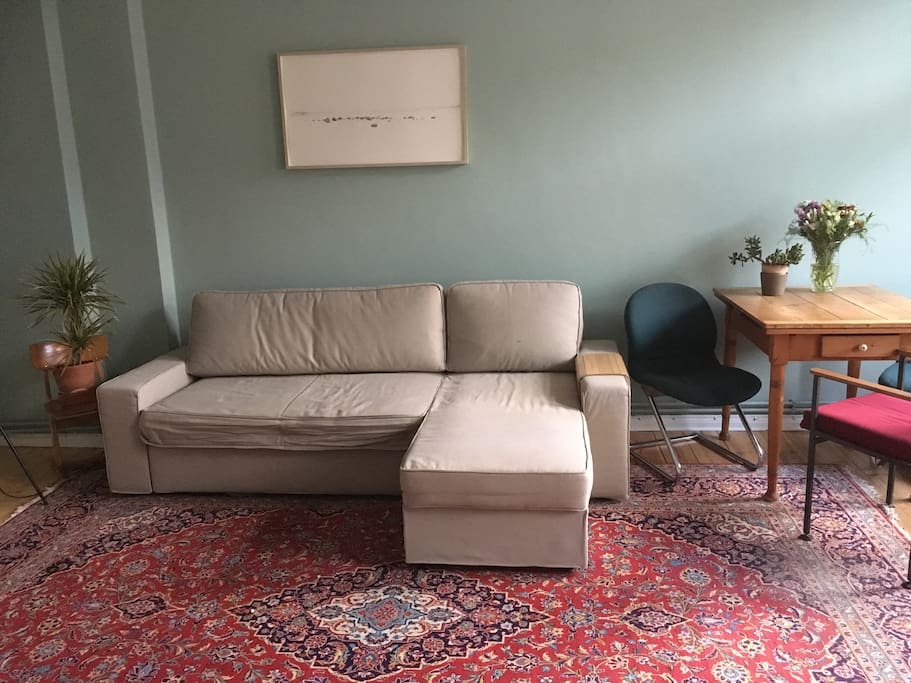 Living room with sleeping sofa