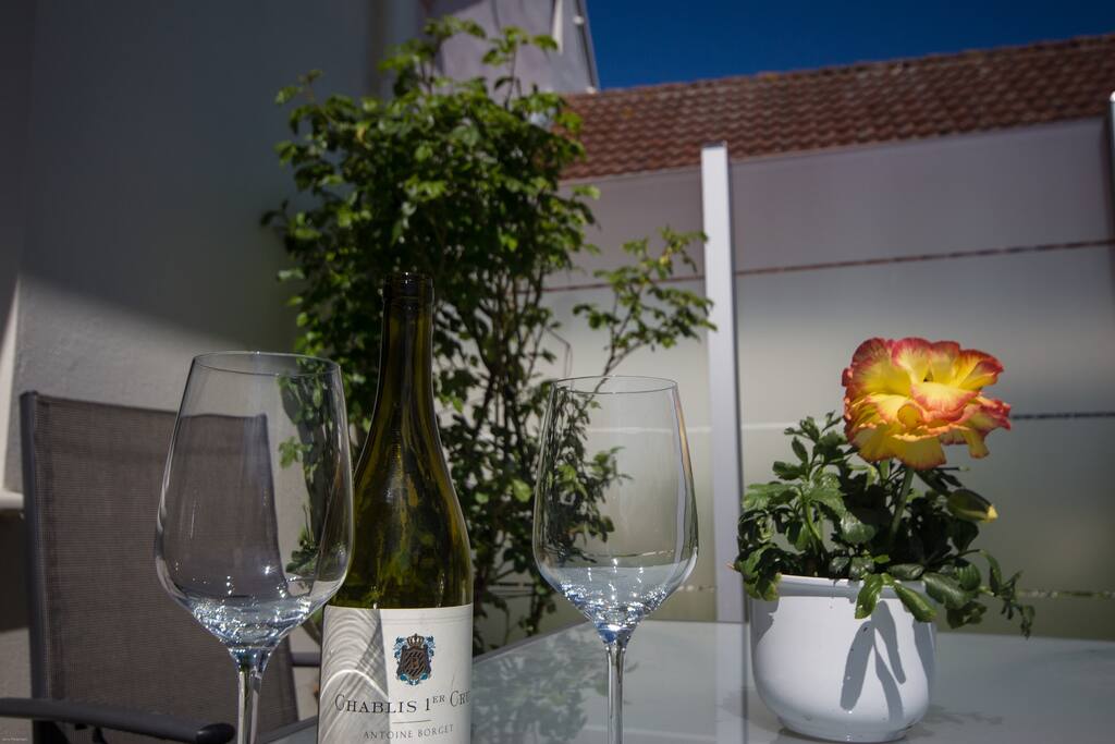 Terrasse mit Rosenstrauch