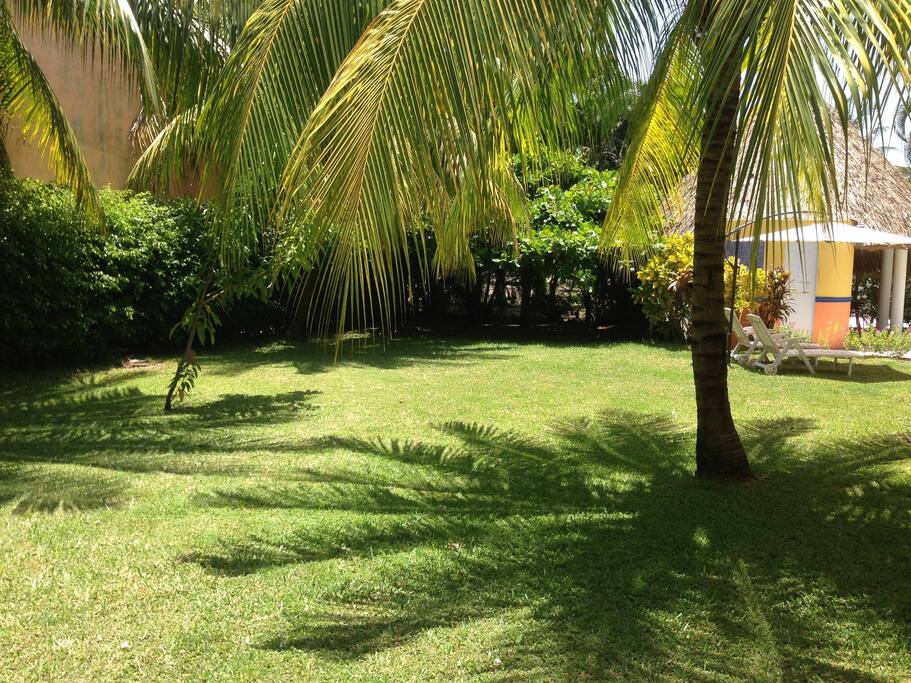 Jardín
