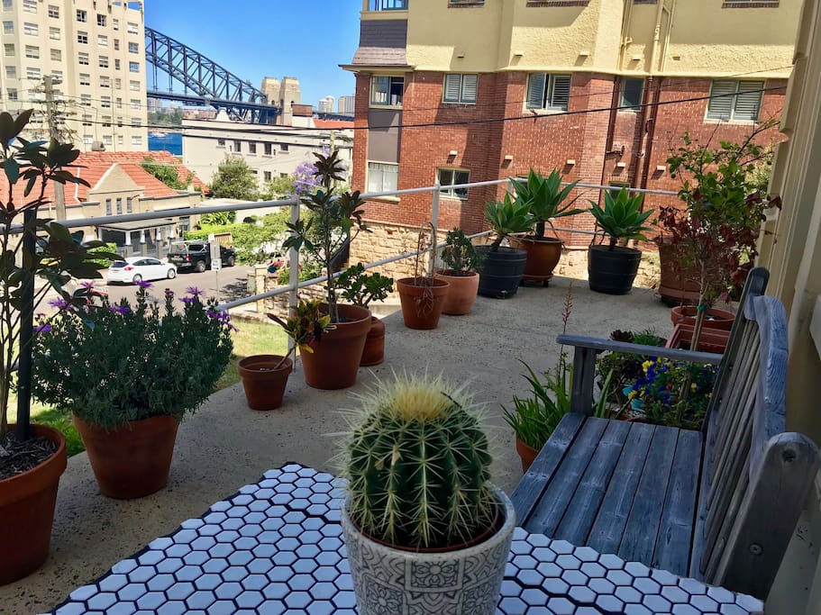 Relax amongst the urban garden overlooking the harbour