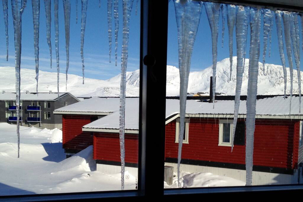 Livingroom view
