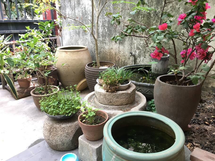 景观一角