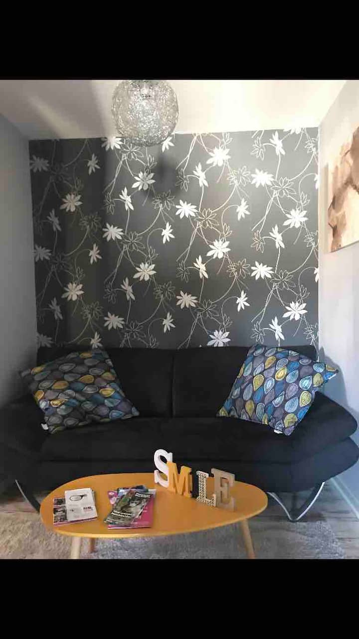 Studio 1 Chambre - Sélestat