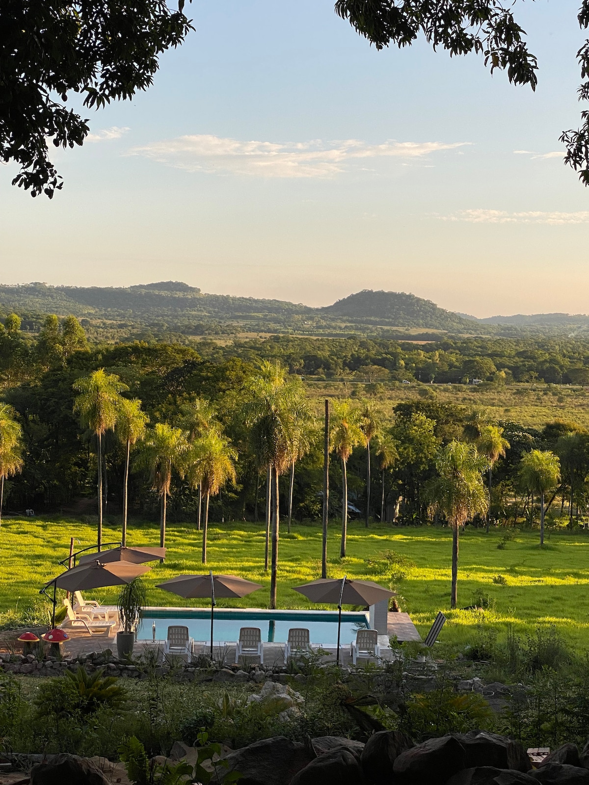 A serene outdoor area features a swimming pool surrounded by palm trees. Lounge chairs are positioned near the water, with sun umbrellas providing shade. The landscape showcases rolling hills and lush greenery, under a clear sky illuminated by soft natural light.