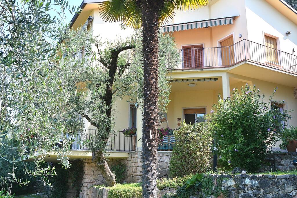 View Of The House