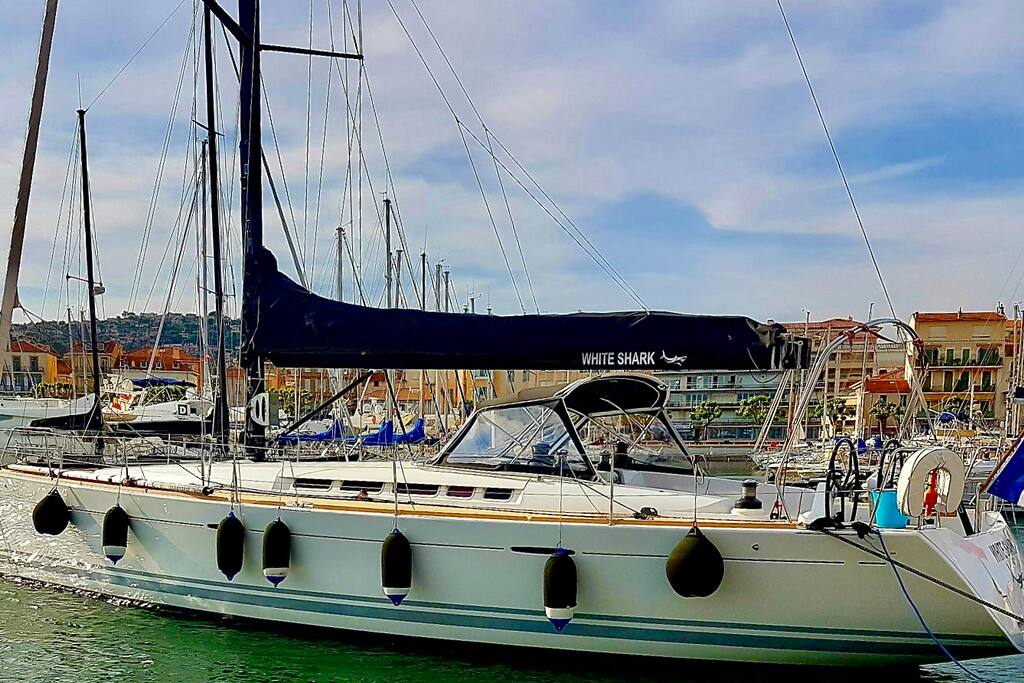 White shark au port