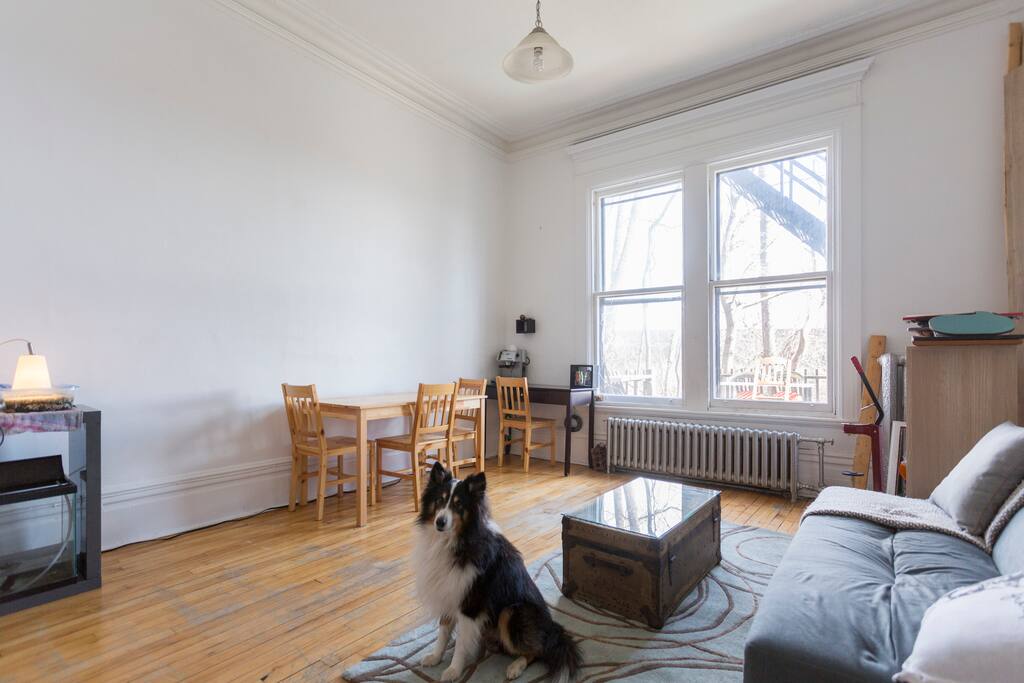 Bright living room