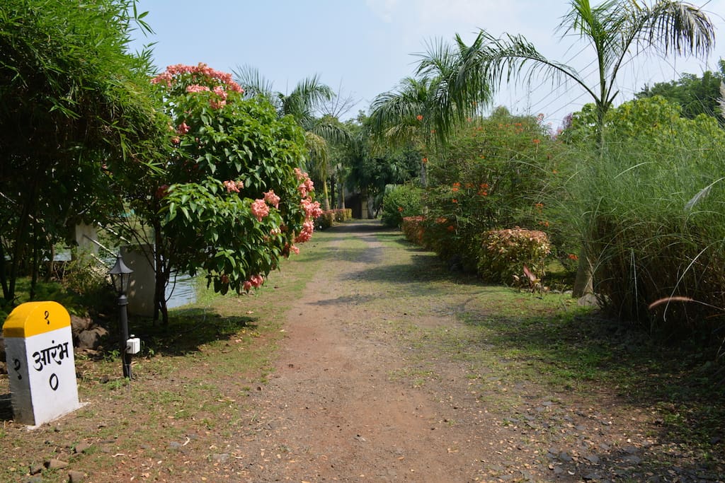 Main Driveway