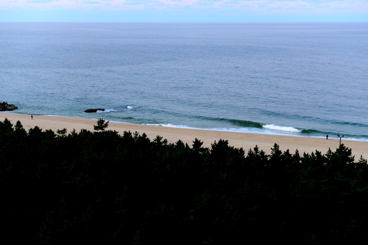 A serene view of a sandy beach stretches along the coastline, bordered by a tree line. Gentle waves lap at the shore, and a few figures can be seen walking along the water. The sky is slightly overcast, creating a calm atmosphere.
