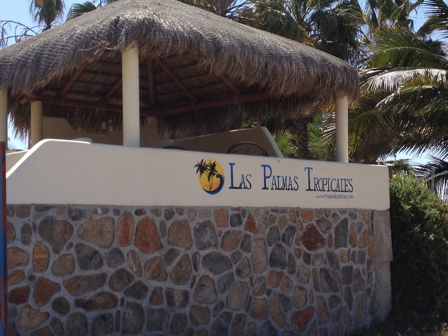 palapa viewing deck overlooking the surf break