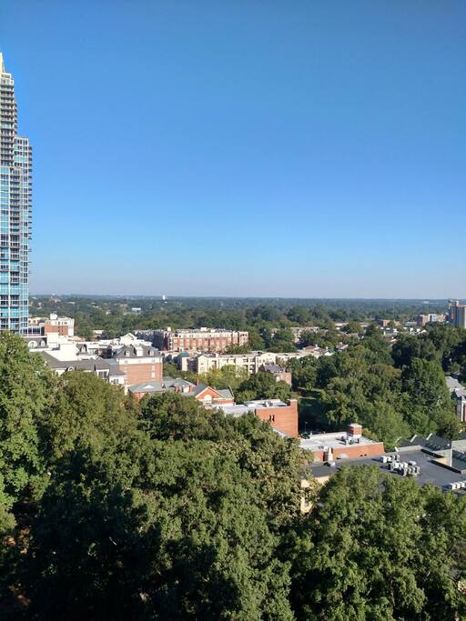 Daytime view
