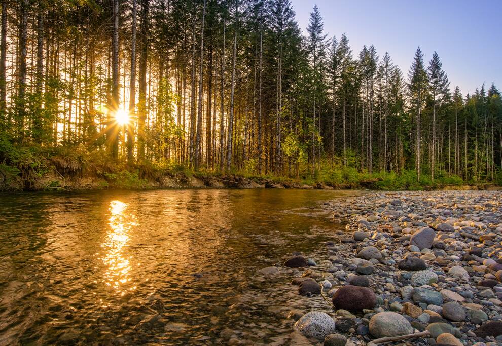 Squire Creek