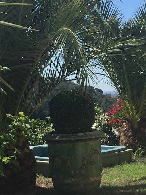Le jacuzzi a l'ombre des palmiers avec vue sur la mer..