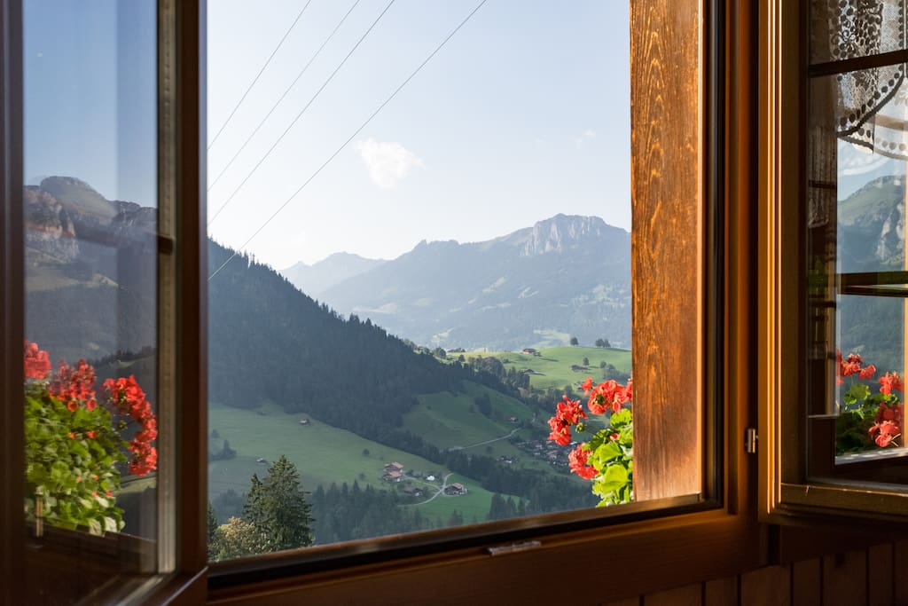 Aussicht vom Balkon