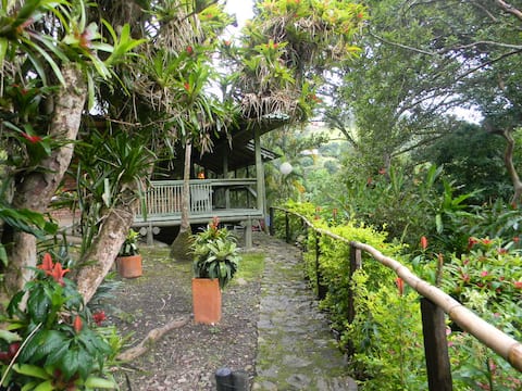 BEAUTIFUL COUNTRY STUDIO IN CHOACHI